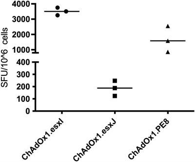 A five-antigen Esx-5a fusion delivered as a prime-boost regimen protects against M.tb challenge